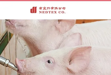 有泉行有限公司
